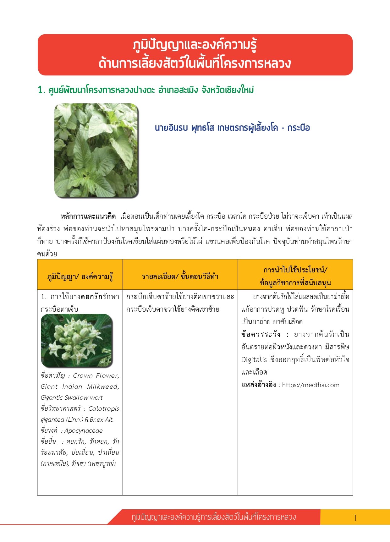 1.OKR Crown Flower page 0001