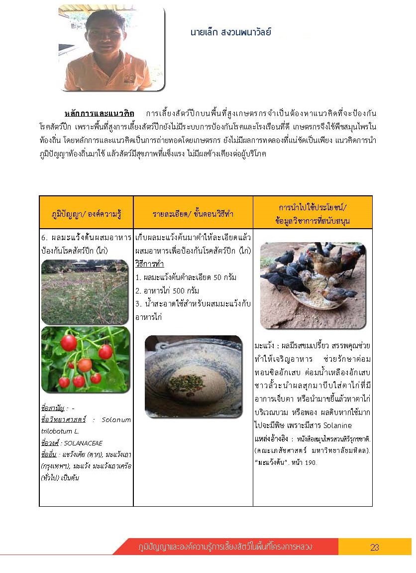 1.OKR Crown Flower page 0001