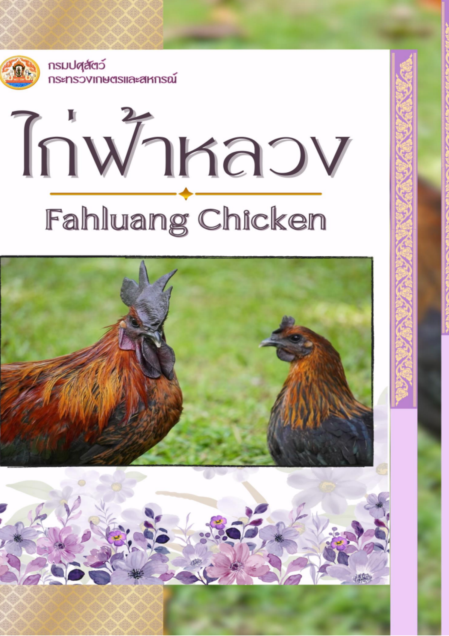 ไก่ฟ้าหลวง