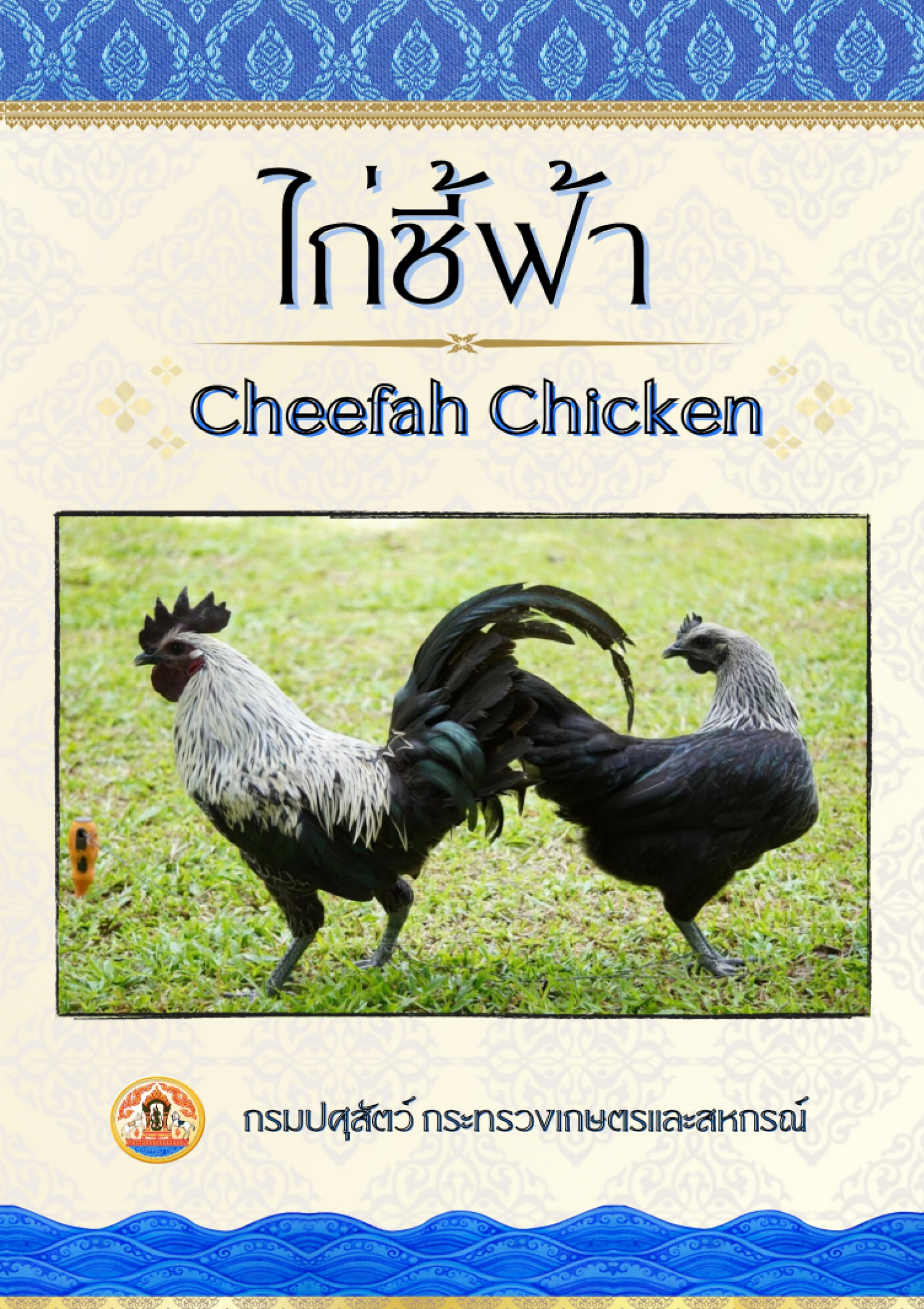 ไก่ชี้ฟ้า